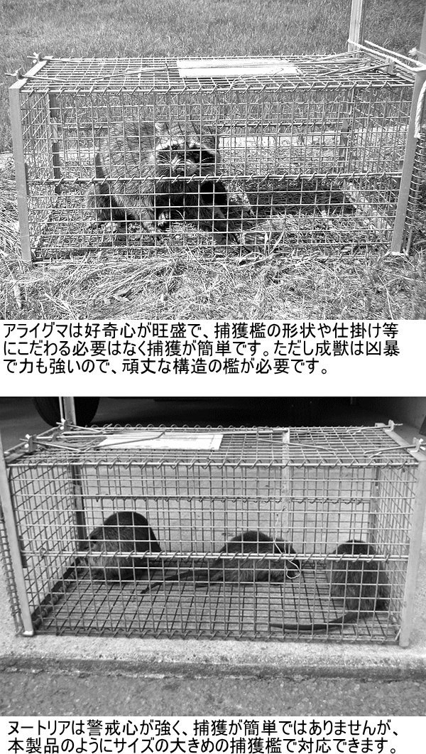 小動物捕獲器 箱罠 イージーキャッチャー rk10　アライグマ・ハクビシン Amazon.co.jp: 小動物捕獲器 イージーキャッチャーRK10F 約38cm×40cm
